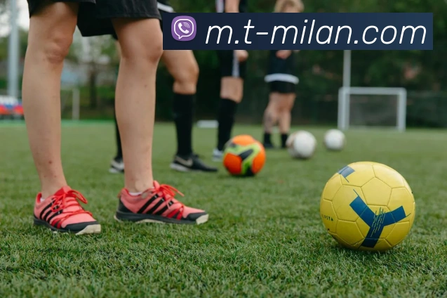 米兰体育平台生态图