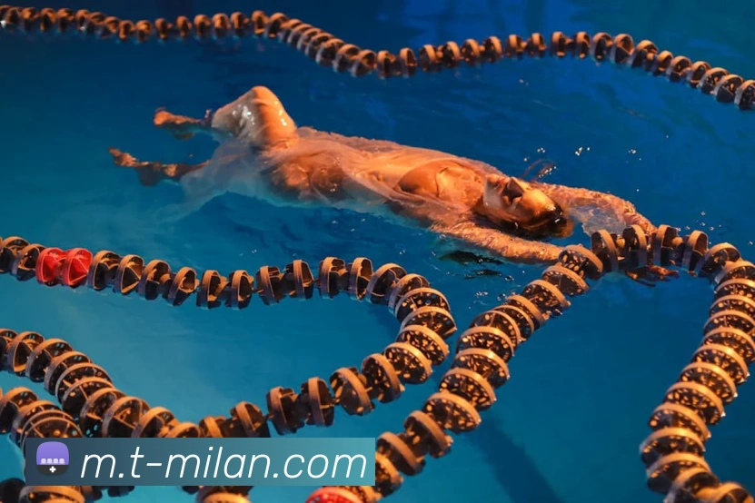 米兰体育APP 封面图